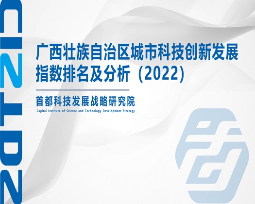 逼特逼成人夫妻网站【成果发布】广西壮族自治区城市科技创新发展指数排名及分析（2022）